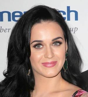 Katy Perry honored for charity work