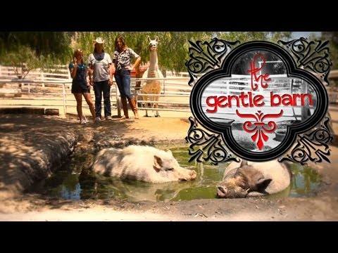 A Trip to The Gentle Barn with Disney Star Sierra McCormick!