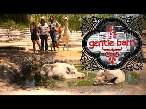 A Trip to The Gentle Barn with Disney Star Sierra McCormick!