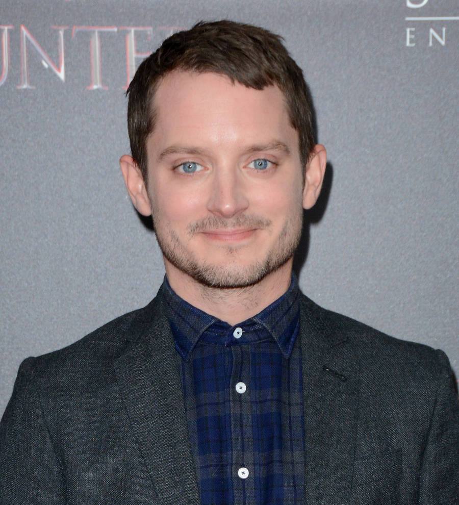 Elijah Wood: 'Vipers prey on Hollywood's child stars'