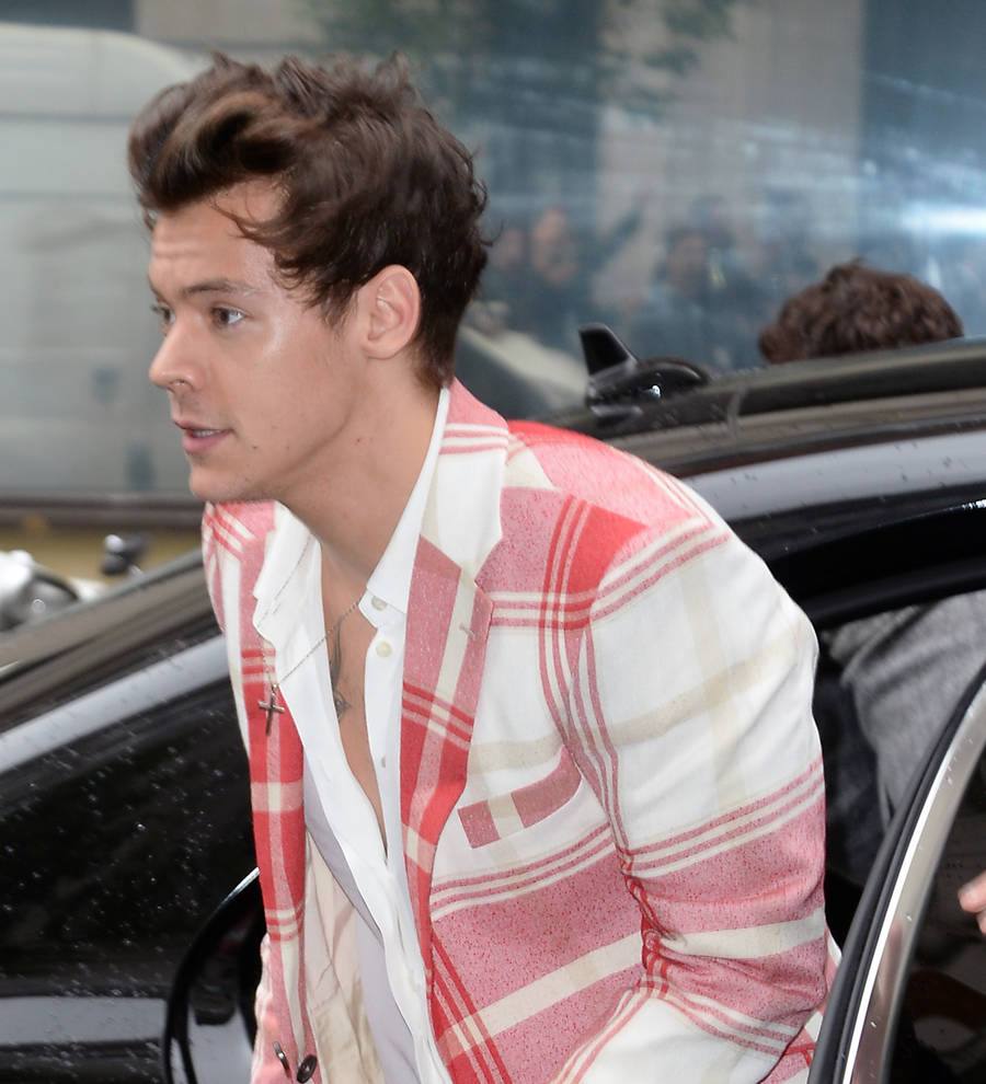 Harry Styles' rumored girlfriend hurt by social media abuse
