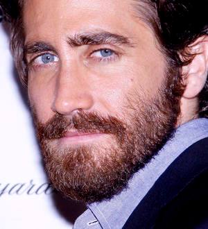 Jake Gyllenhaal: 'I was an idiot to agree to stun gun hit'