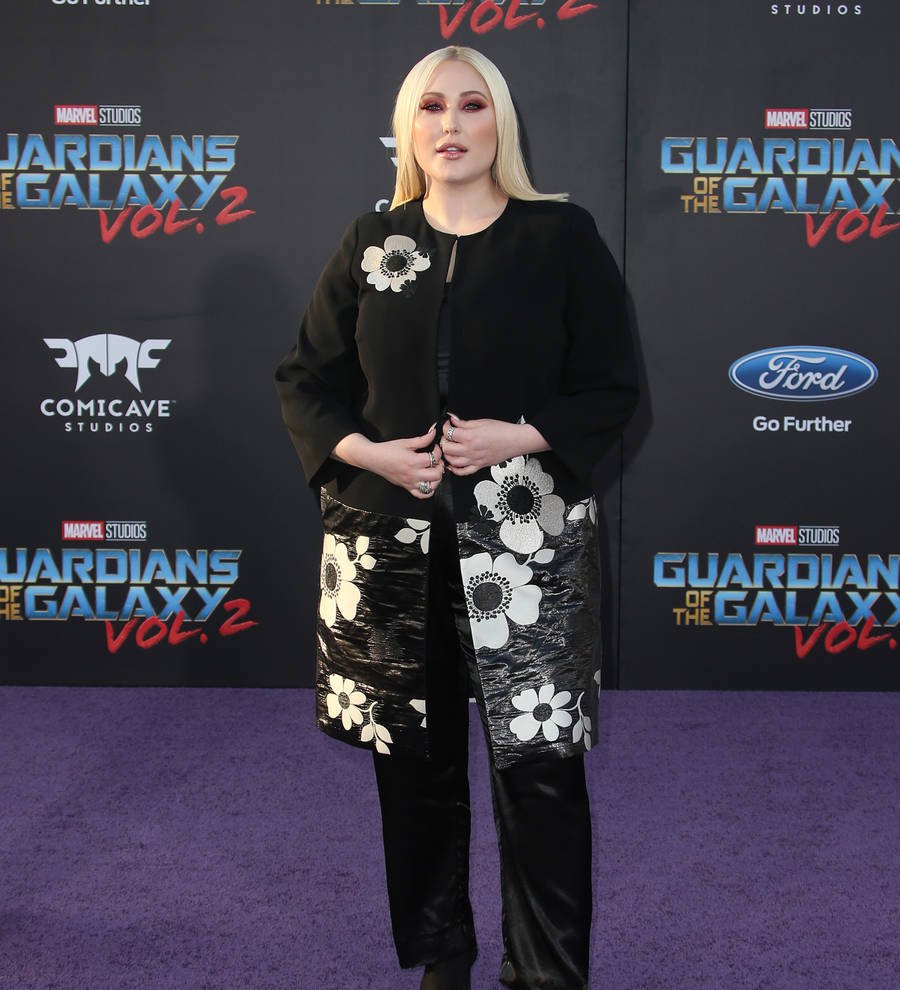 Hayley Hasselhoff pleads no contest to driving under the influence - report