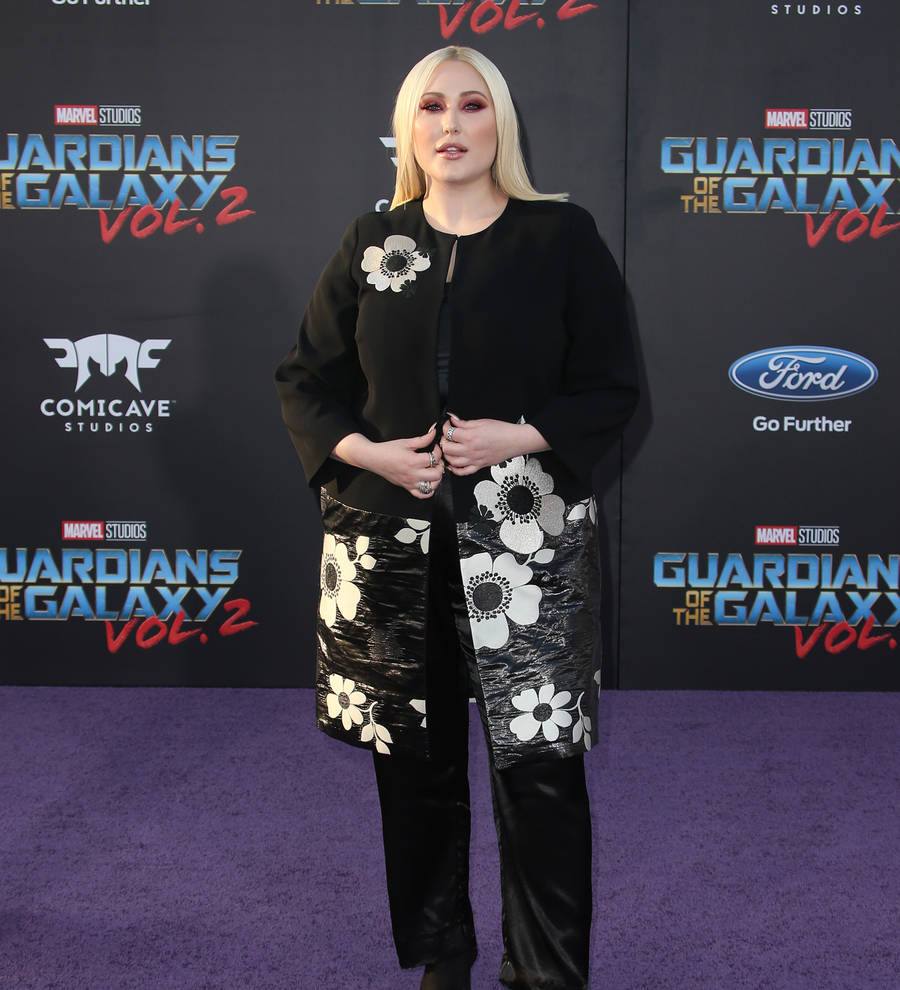 Hayley Hasselhoff pleads no contest to driving under the influence - report