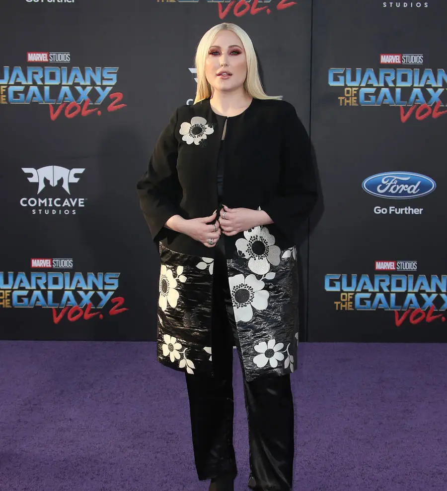 Hayley Hasselhoff pleads no contest to driving under the influence - report