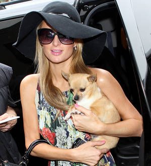 Paris Hilton endures travel trauma en route to Cannes