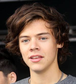 Harry Styles finds fame lonely