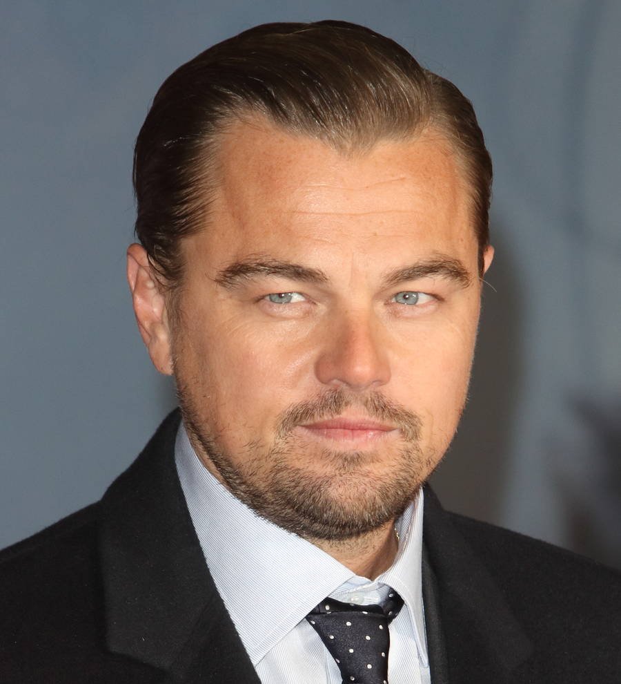 Controversial Leonardo DiCaprio film pulled from video sharing site