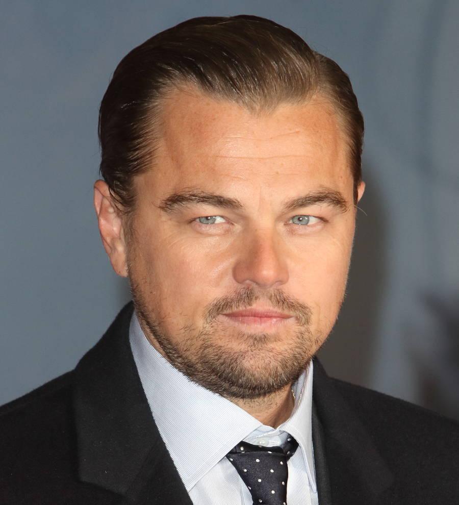 Controversial Leonardo DiCaprio film pulled from video sharing site