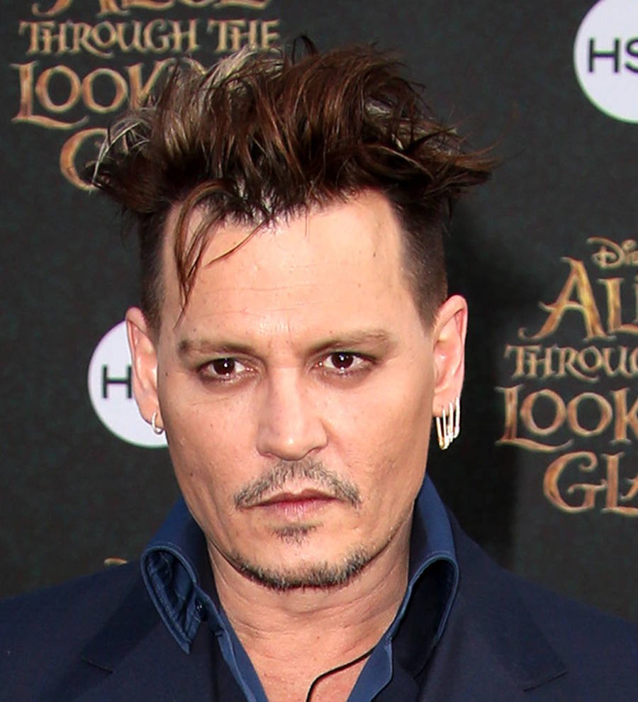 Johnny Depp's charm won him role in Fantastic Beasts