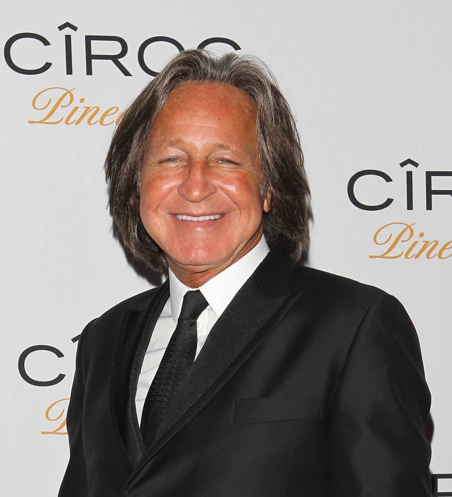Mohamed Hadid sentenced to probation and community service