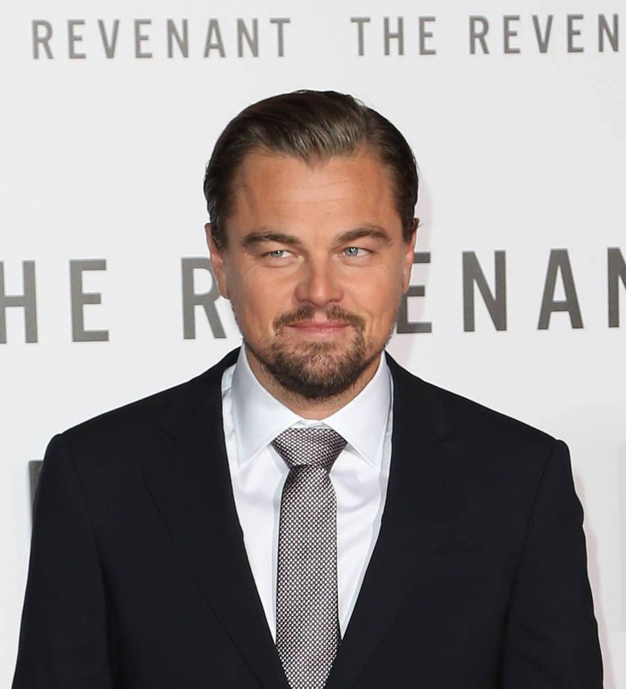 The Revenant leads 2016 Oscar nominations