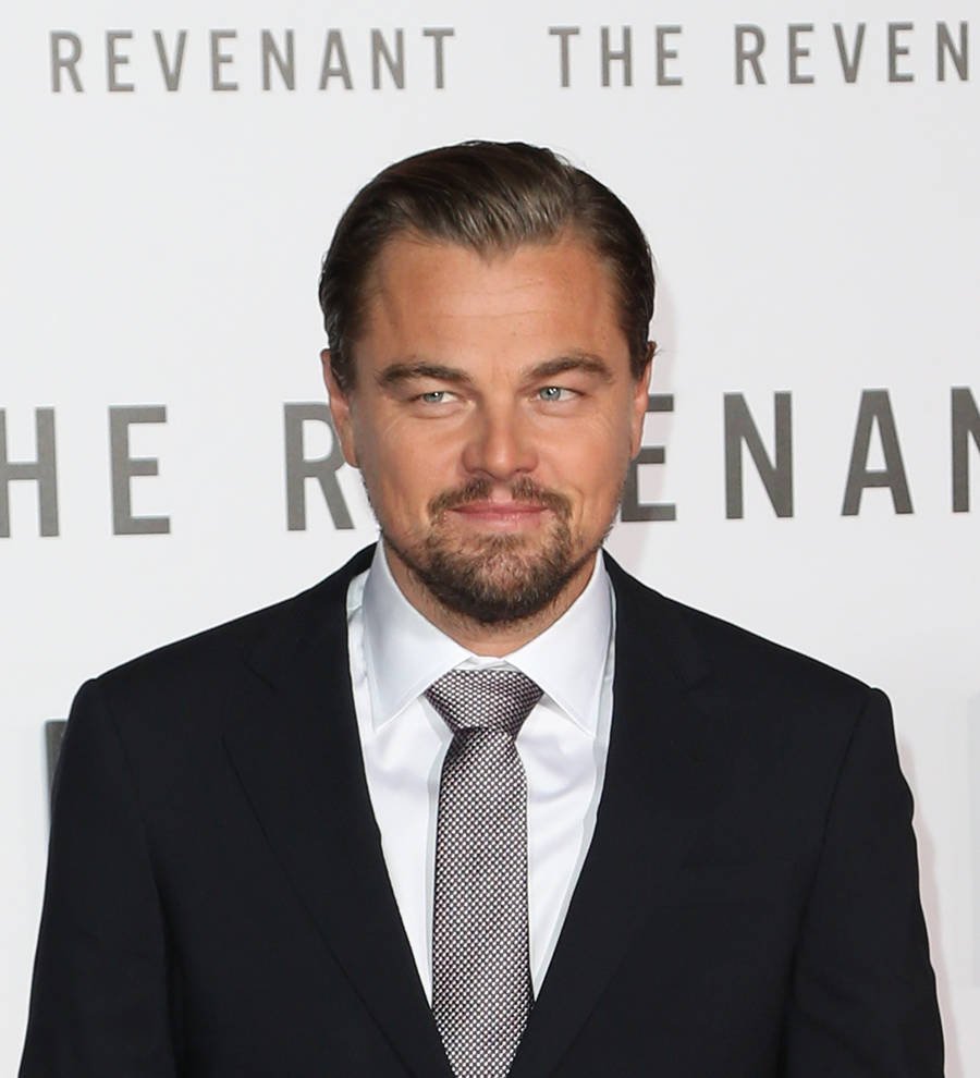 The Revenant leads 2016 Oscar nominations