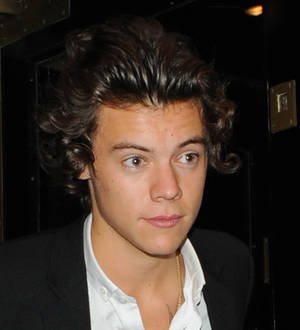 Harry Styles unsure of relationship status with Kendall Jenner