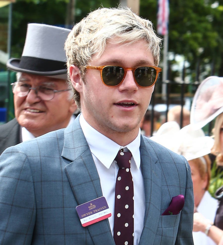 Niall Horan cosies up to rumored girlfriend