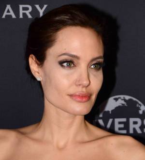 Angelina Jolie: 'I'm serious about acting retirement'