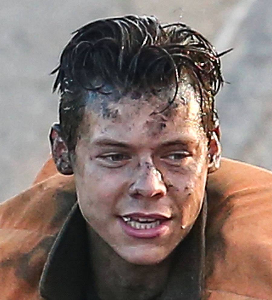 Harry Styles' acting skills get thumbs up from Hollywood stuntman