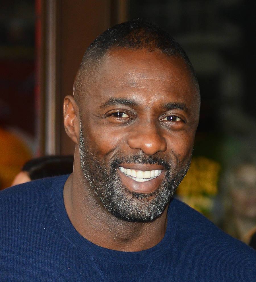 Idris Elba replaces Charlie Hunnam in romantic drama