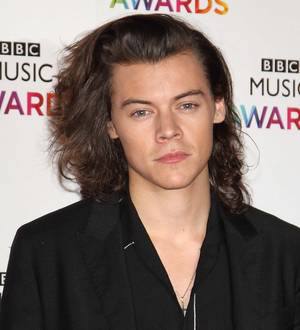 Harry Styles cures fan's panic attack