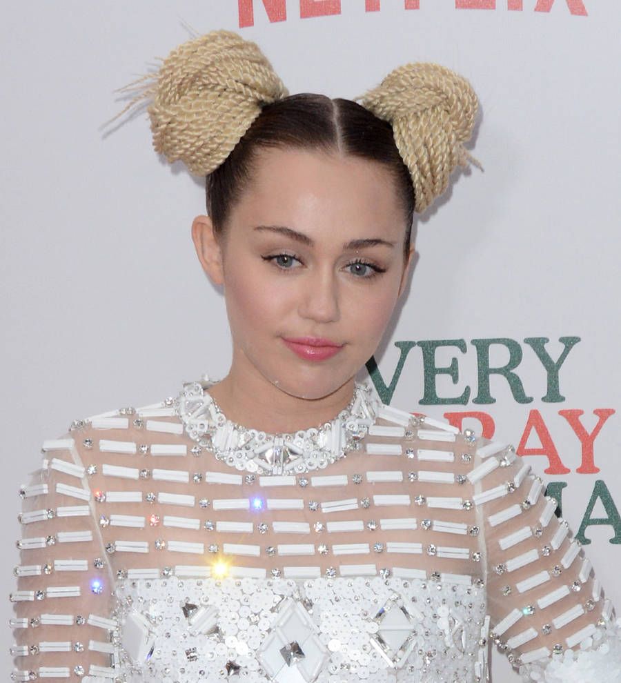 Miley Cyrus adopts another dog