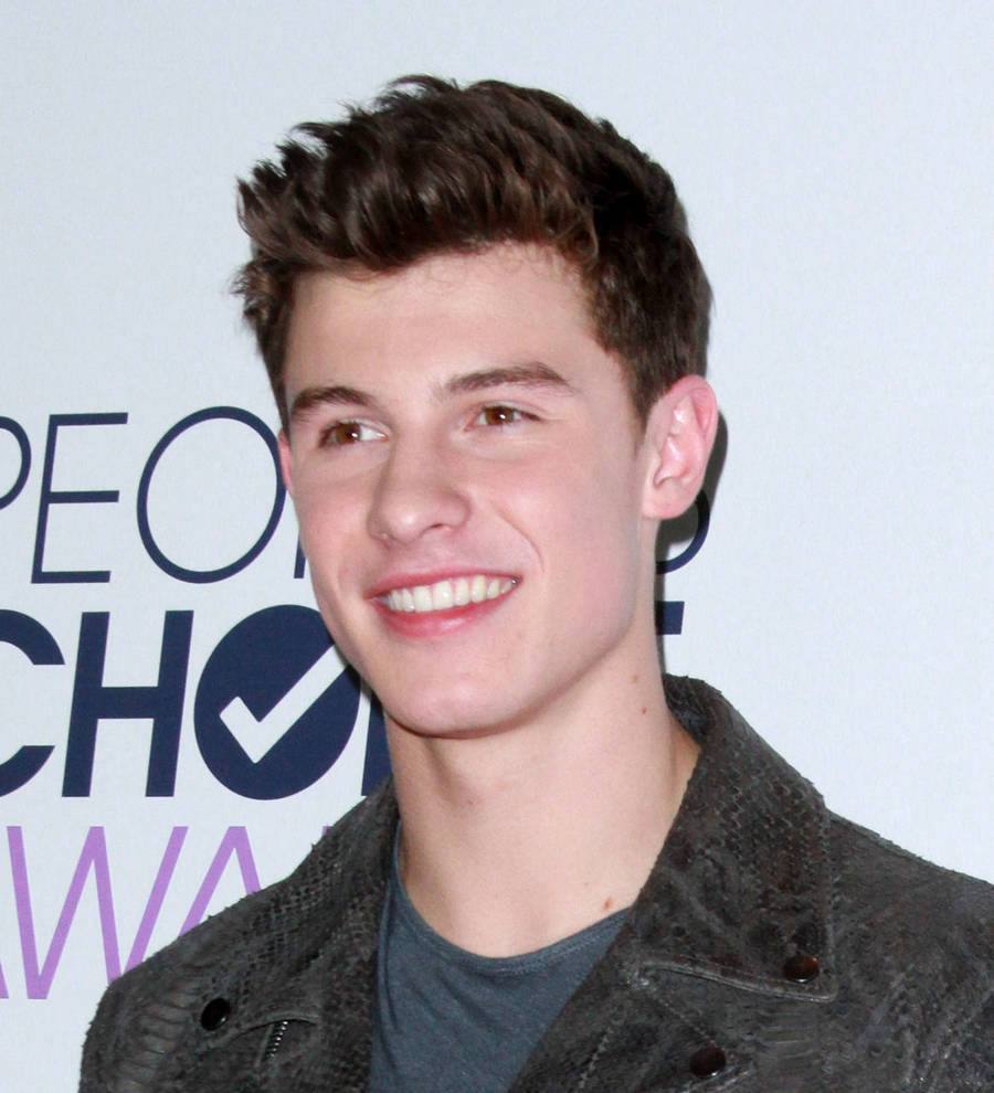 Shawn Mendes: 'I'm not gay'