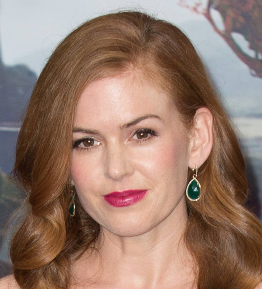 Isla Fisher refused to work during her pregnancies