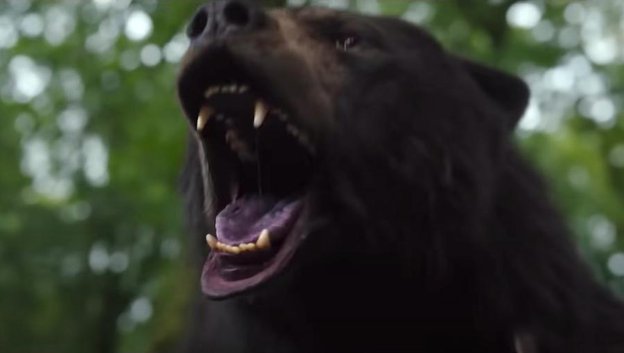 Why You Should Be Excited For 'Cocaine Bear'!
