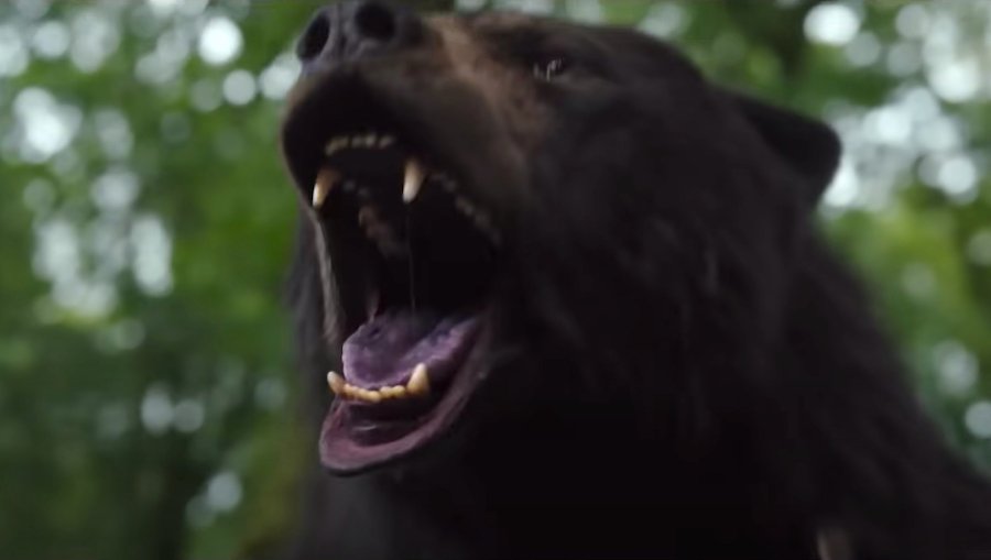 Why You Should Be Excited For 'Cocaine Bear'!