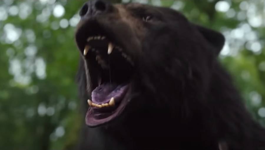 Why You Should Be Excited For 'Cocaine Bear'!