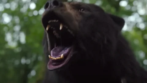 Why You Should Be Excited For 'Cocaine Bear'!
