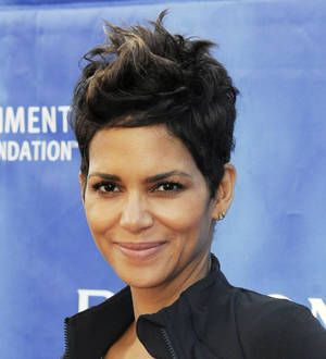 Halle Berry stops Canadian auction