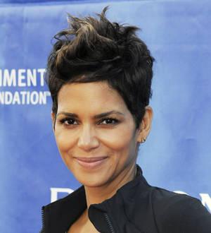 Halle Berry stops Canadian auction