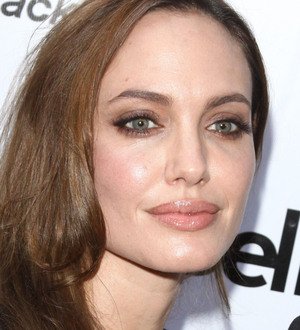 Angelina Jolie receives Bosnian housing honour