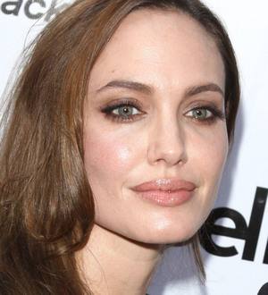 Angelina Jolie receives Bosnian housing honour