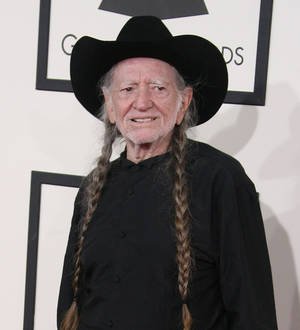 Willie Nelson's hair sells for,000 at auction