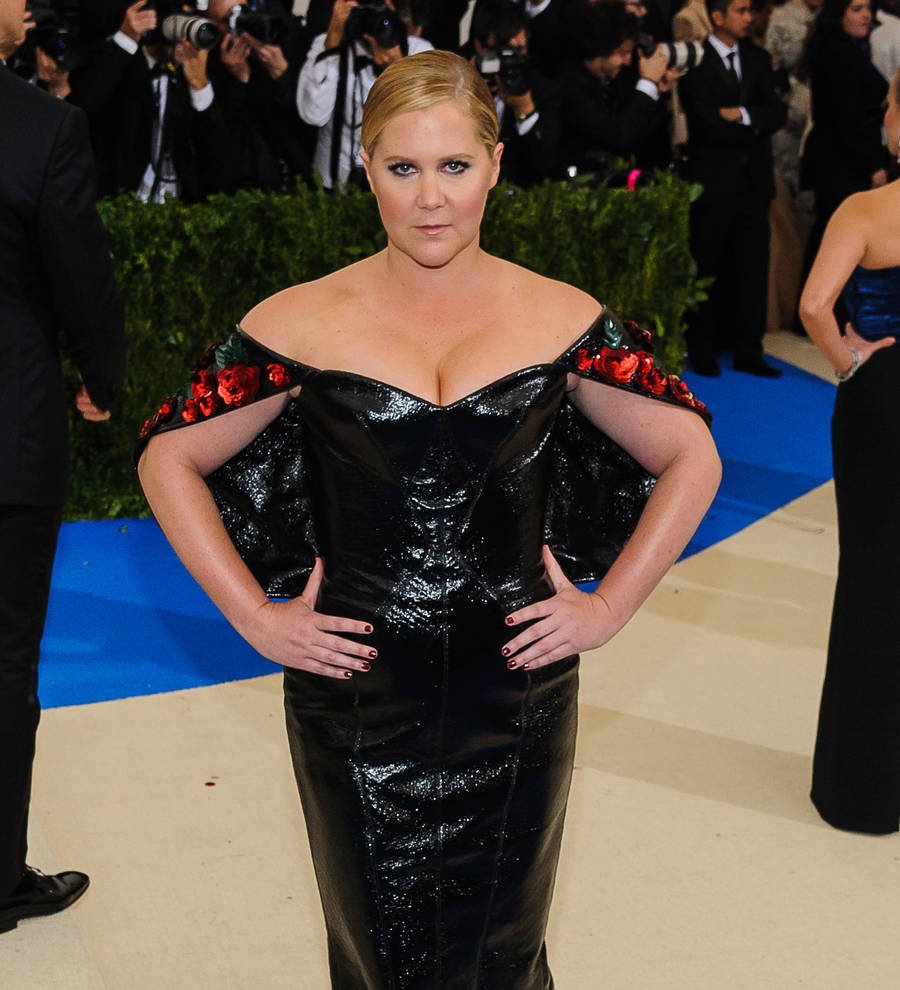 Amy Schumer returns to Met Gala a year after labeling it 'punishment'