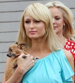Paris Hilton Poaches Pooch Votes
