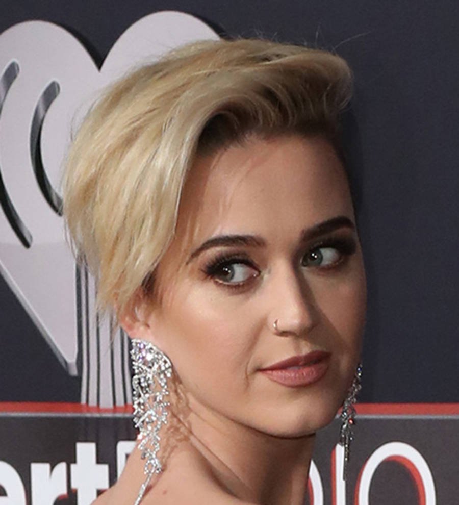 Katy Perry confirmed for American Idol