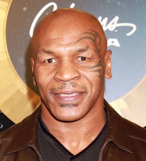Madonna recruits Mike Tyson for new album