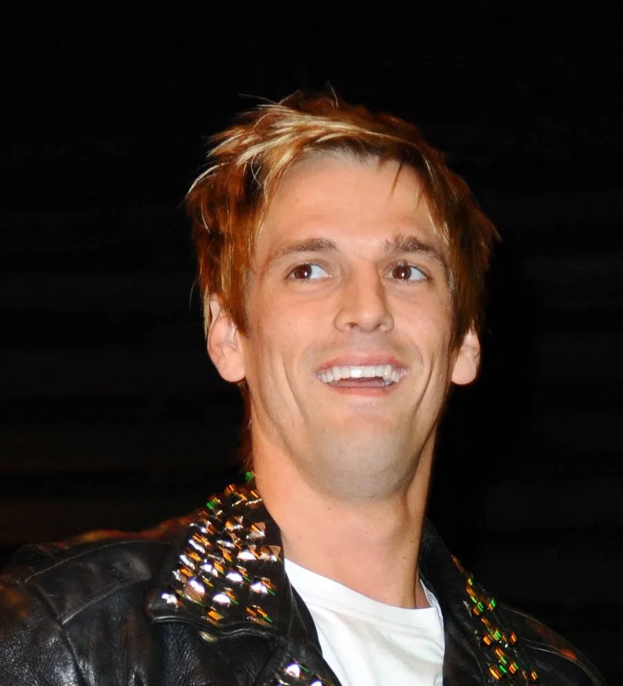 Aaron Carter made Robert Downey Jr. his rehab mentor