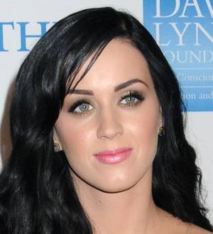 Perry's Firework Explodes Atop Pop Chart