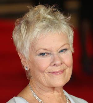 Dame Judi Dench treats young fan to VIP meeting