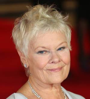 Dame Judi Dench treats young fan to VIP meeting