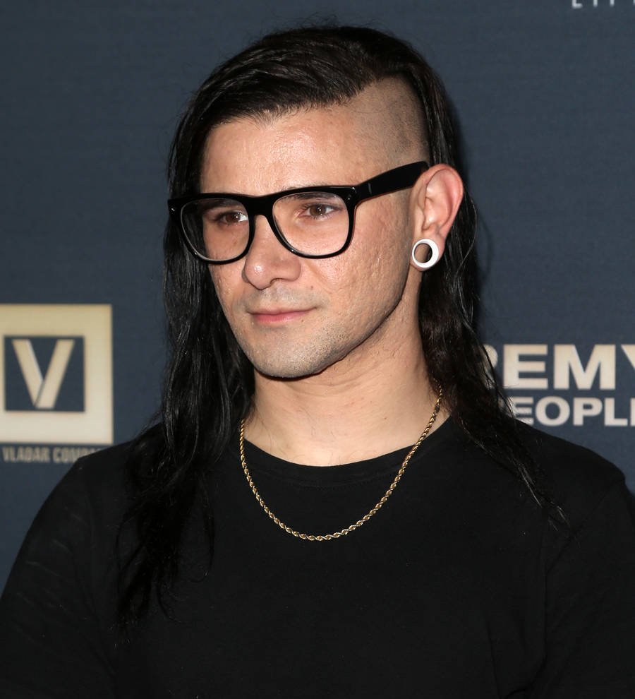 Skrillex gig cancelled over plane trouble