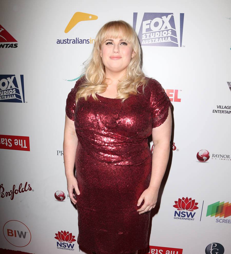 Rebel Wilson 'excited' to give evidence in defamation trial