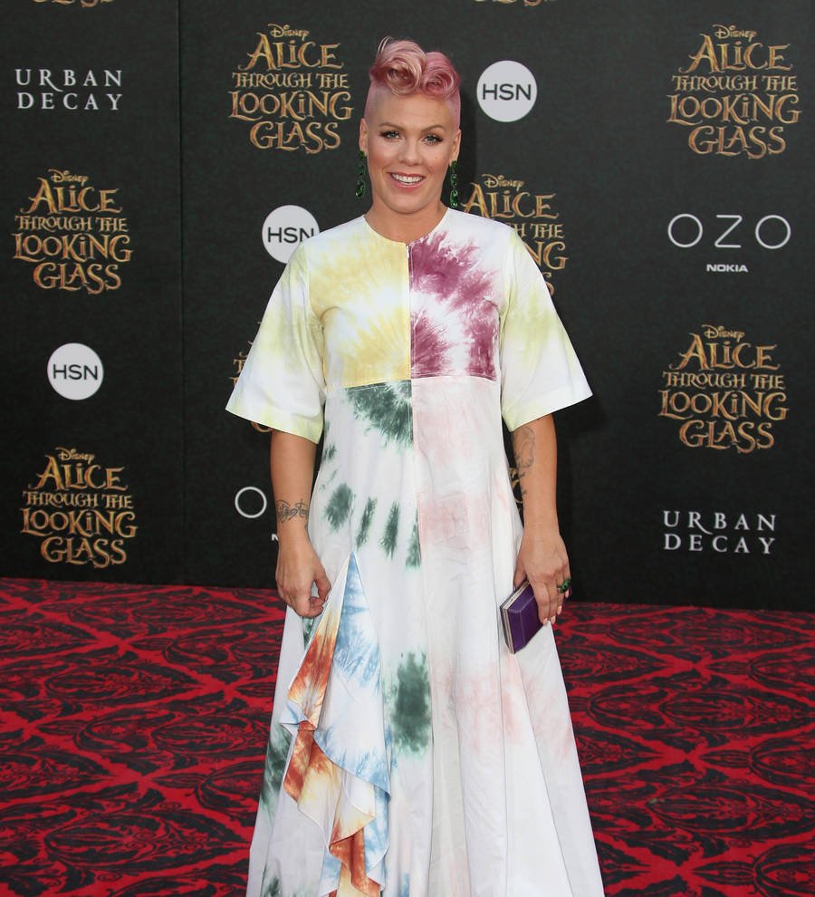 Pink hits back at trolls after sparking backlash with President Trump comment
