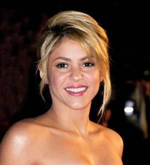 Shakira's boyfriend confirms baby news was a prank