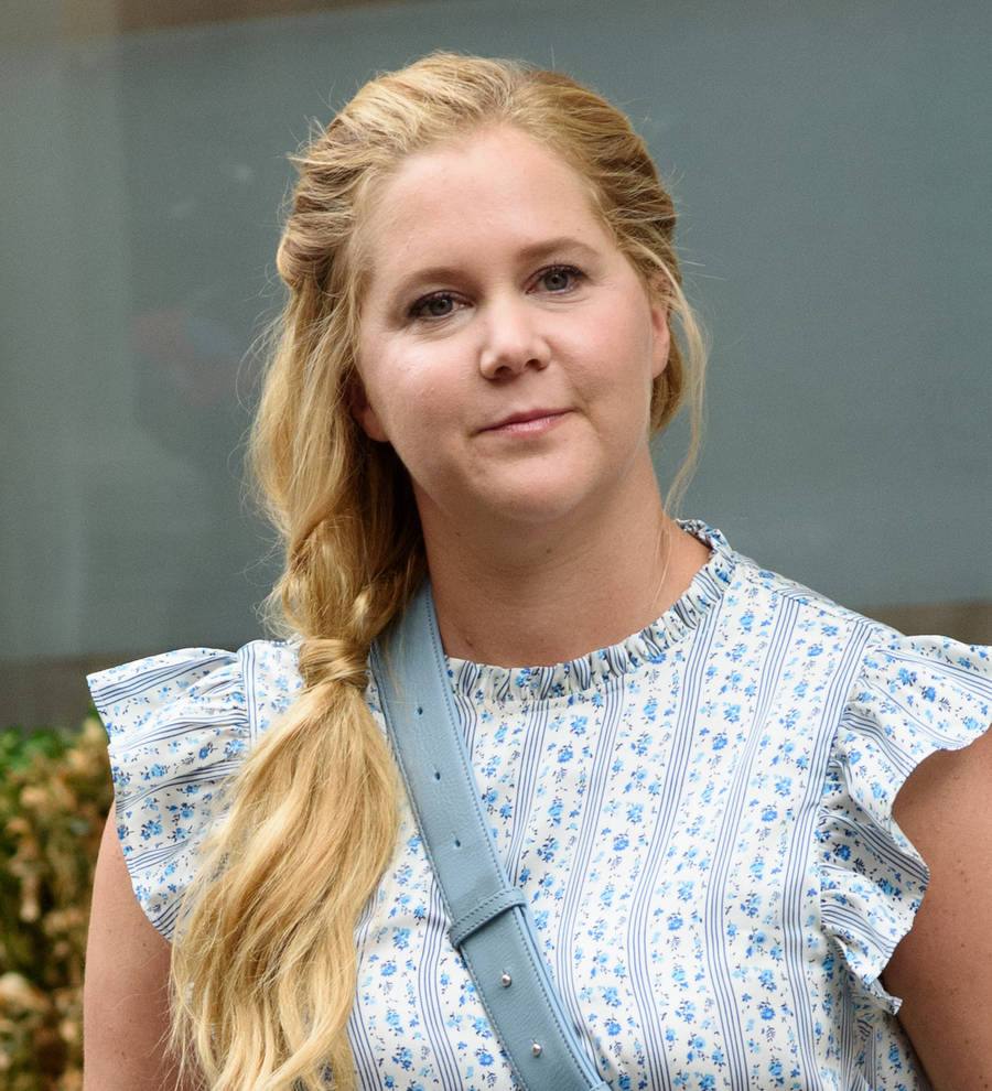 Amy Schumer enjoys dinner date with chef