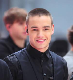 Liam Payne reunites with ex-girlfriend in New York