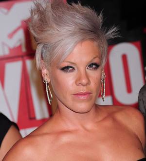 Pink hits out at Twitter critics